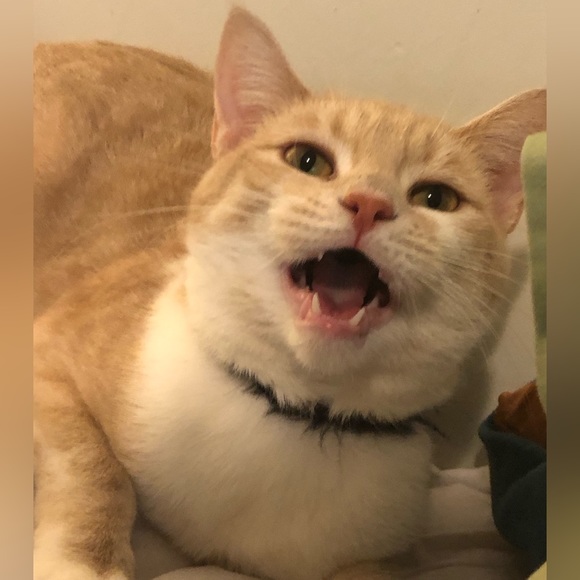 Meet Your Posher’s Posse- - Picture 12 of 12